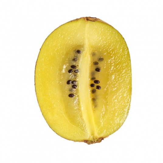 Melon żółty -zdjęcie numer 1