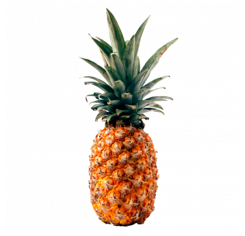 Ananas