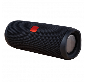 Głośnik bezprzewodowy RH-200