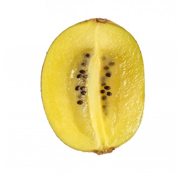 Melon żółty