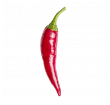 Papryczka Chili