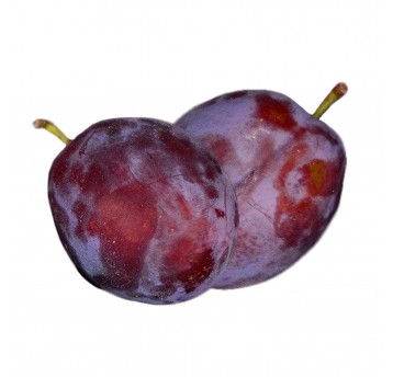 Śliwka